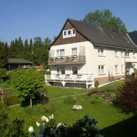 Bruene Apartment Willingen (Upland)